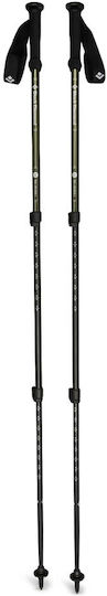 Black Diamond Explorer Wanderstock
