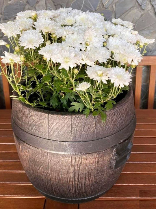 Viosarp Planter Plastic Gray 33x33cm.