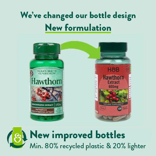 Holland & Barrett Κράταιγος 600mg 120 κάψουλες