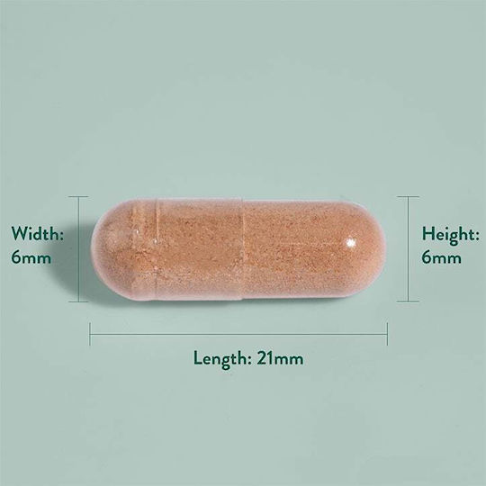 Holland & Barrett Pycnogenol Extract 60mg 30 Mützen