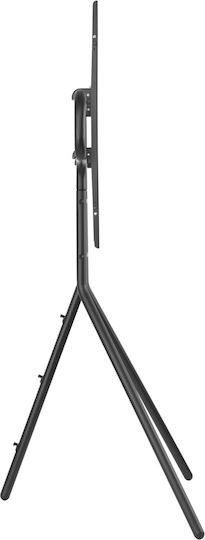 Deltaco ARM-1400 Suport TV pardoseală până la 70" și 40kg Negru