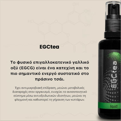 BiYottica EGCtea Spezielles Nahrungsergänzungsmittel 45ml