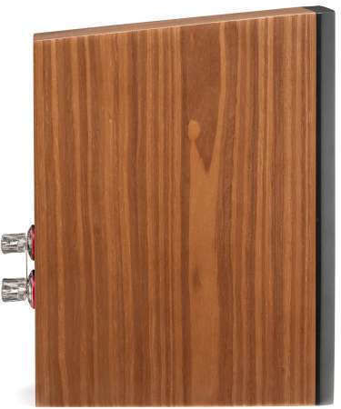 Martin Logan Motion XT B100 Paar Passive Hi-Fi-Lautsprecher Bibliothek 250W 2-Wege Treiberkonfiguration 20.3xB31.8xH36.8cm Braune