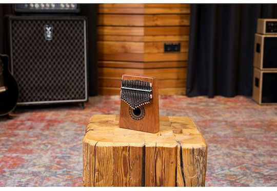 Meinl Sound Hole
