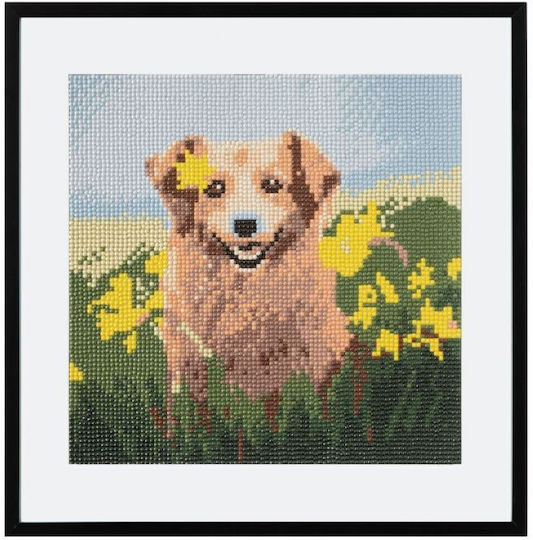 Grafix Σετ Κατασκευής Ζωγραφική με Διαμάντια Dog 30x30cm