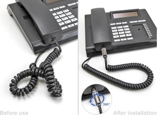 Delock Βύσμα Τηλεφώνου Rj10 88168 360° Περιστρεφόμενο Διάφανο-μαύρο