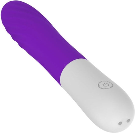 B-Series Joy Vibrator G-Spot 20cm Purple