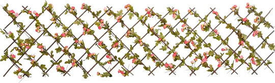 Garden Trellis made of Wood in Copper Colour 180x60cm