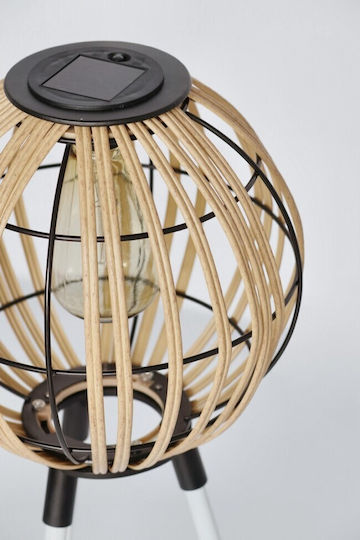 Bizzotto Lămpi Decorative Pentru Masă LED 2 Bucăți Bizzotto Lămpi Decorative Pentru Masă LED 2 Bucăți