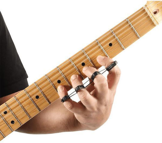 Daddario PW-DXBD-01