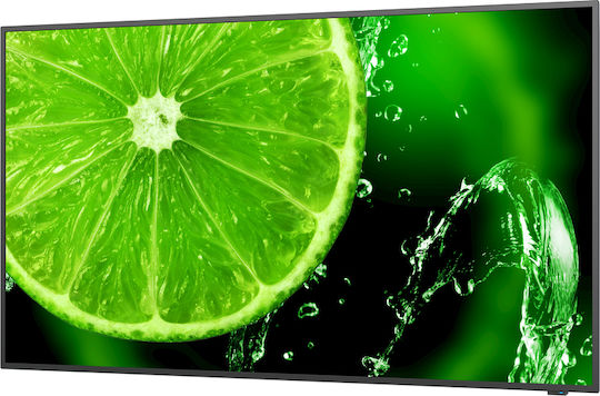 Nec MultiSync E438 Digitale Anzeigetafel LCD IPS 4K UHD 42,5 Zoll HDR mit USB-Mediaplayer