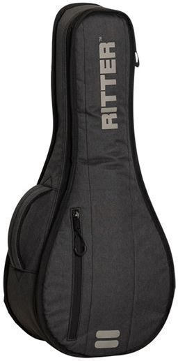 Ritter Antrhracite DAVOS Case Mandolin Padded Gray