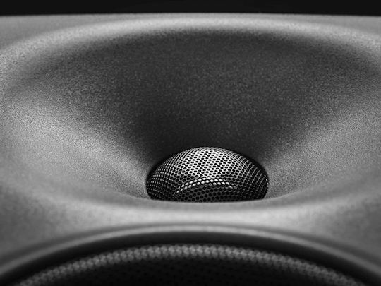 Neumann KH 120 II Studio Monitor Lautsprecher 5.25" 145W Stück Grauen