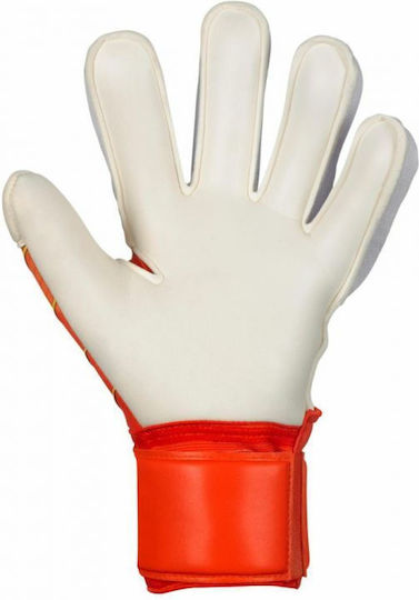 Select Sport 34 Protection Голмански ръкавици за Възрастни Бели