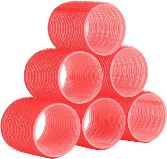 Dafnis Rollers 64mm in Red Color 6pcs