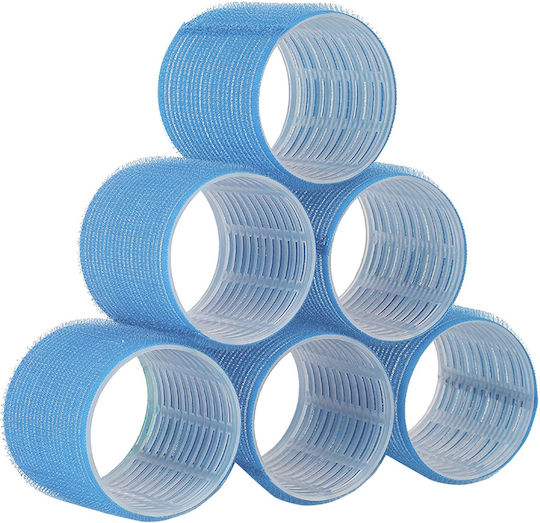 Dafnis Rollers 74mm in Light Blue Color 6pcs