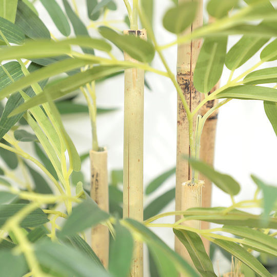 Bamboo Outdoor Tree Newplan