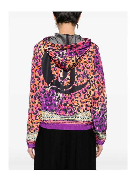 Just Cavalli Just Cavalli