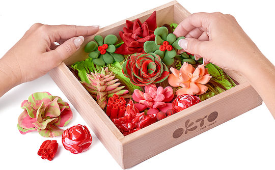 DIY Creative Clay Wood & Craft Suculente Suculente Passion Construction Set