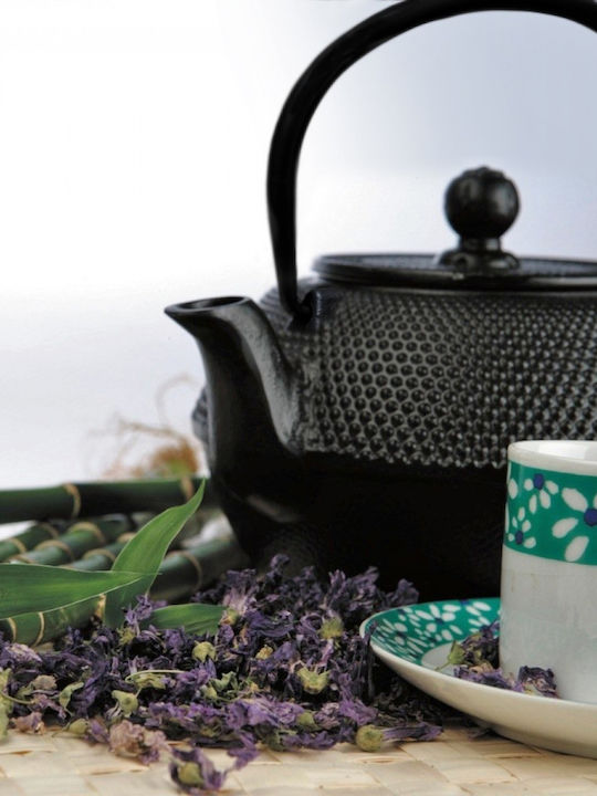 Ibili Oriental Teapot with Filter Cast Iron Black 1200ml