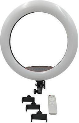 RL-1006 Ring Light 45cm with Mobile Phone Holder