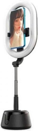 Andowl Ring Light 2900 - 6500K with Mobile Holder