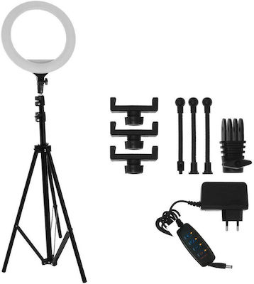 Led Ring Light 35.56cm and Mobile Holder