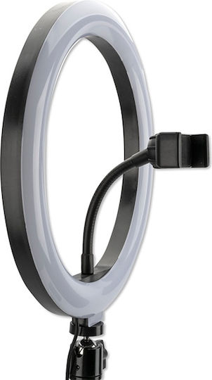 4Smarts Tripod with LED Ring Light 19cm με Επιτραπέζιο Τρίποδο και Βάση για Κινητό