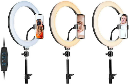 Tracer Ring Light 30cm με Επιτραπέζιο Τρίποδο και Βάση για Κινητό