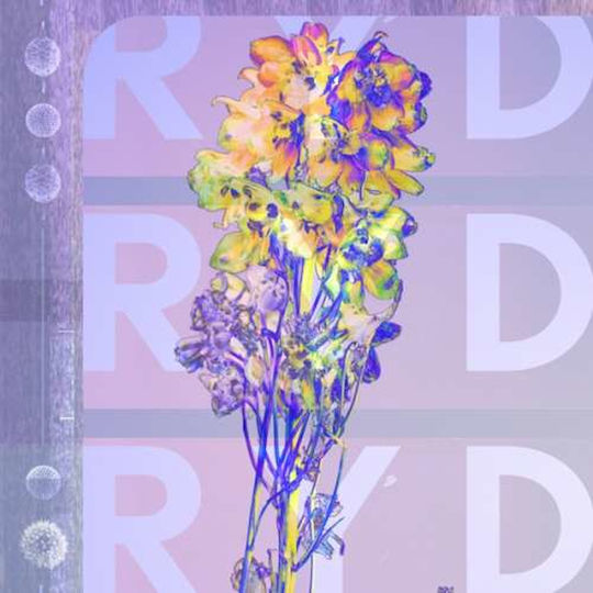 Ryd Ryd Lp