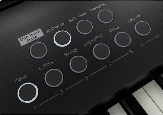 Roland Electric Stage Piano FP-E50 Pedal Set with 88 Weighted Keys Built-in Speakers and Connection with Headphones and Computer Black