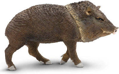 Miniatur-Safari Peccary Südamerikanisches Schwein Miniaturen