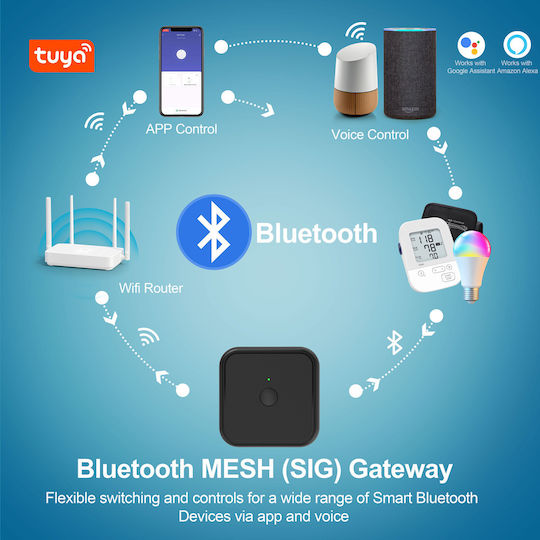 Inhocon Smart Hub Wi-Fi / Bluetooth Compatible with Google Home & Alexa