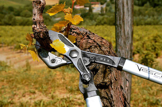 Hydrostab HS0550546 Подстригвач за обход на клони