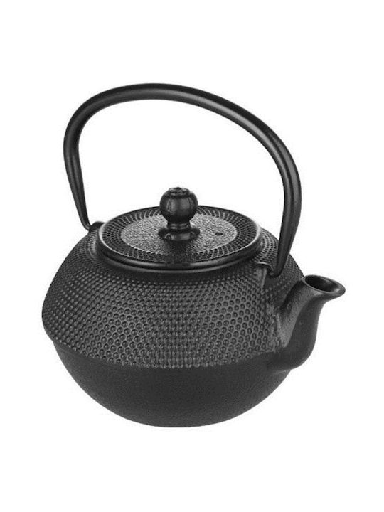 Teapot Set Cast iron with Filter Black 400ml 1pc