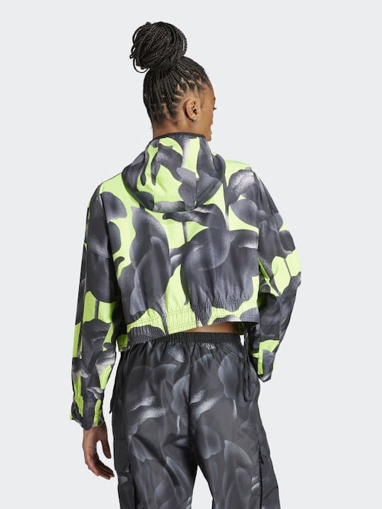 Adidas Scurt Jachetă de femei Puffer pentru primăvară/toamnă Colorful