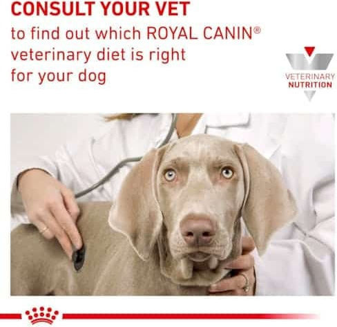 Royal Canin Υγρή Τροφή Σκύλων σε Κονσέρβα με Κρέας 400gr