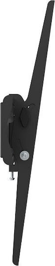 Stell Accessories SHO 3310 Wandhalterung für Fernseher bis 70" und 40kg