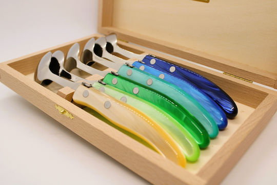 Claude Dozorme Laguiole Spoon Set Dinner Stainless Blue Green 6pcs