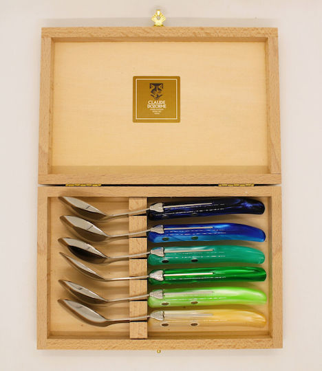 Claude Dozorme Laguiole Spoon Set Desert / Ice Cream Stainless Blue Green 6pcs