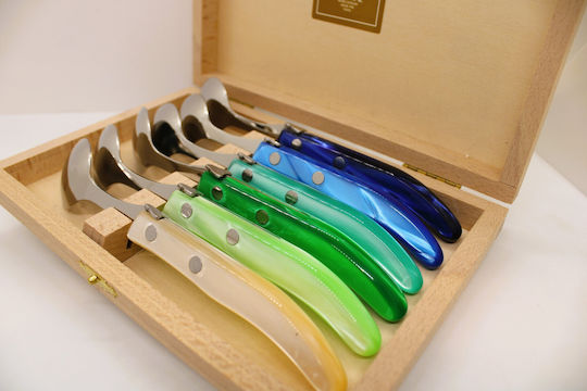 Claude Dozorme Laguiole Spoon Set Desert / Ice Cream Stainless Blue Green 6pcs