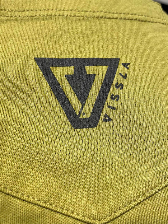 Vissla