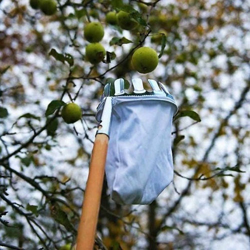Συλλέκτης Καρπών