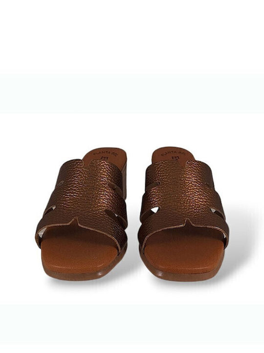 Leather Mules With Low Heel In Brown Colour