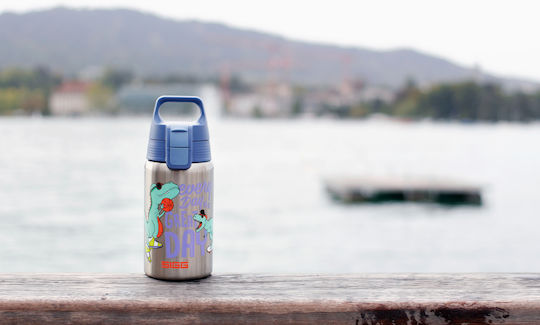 Sigg Edelstahl Trinkflasche 0.5L Great Day Shield One