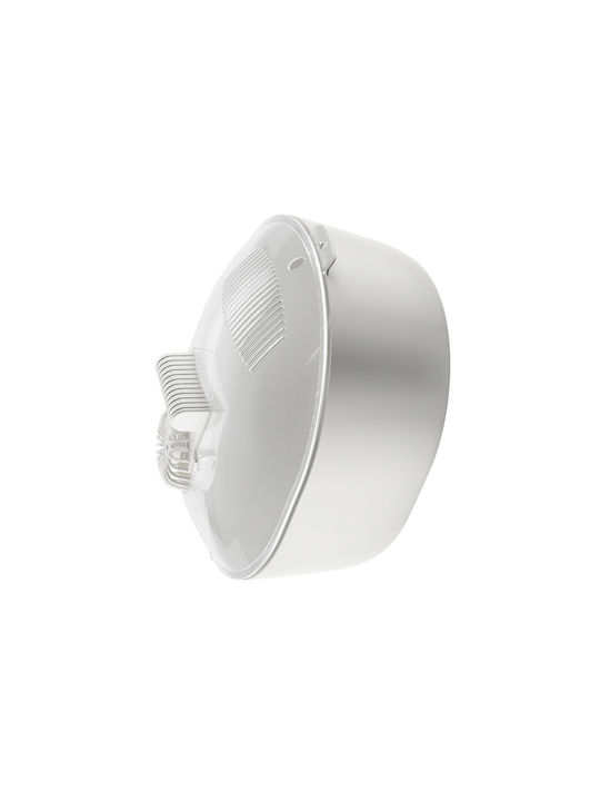 Cutie pentru Mâncare Plastic Alb 32.3x25.3cm 1buc