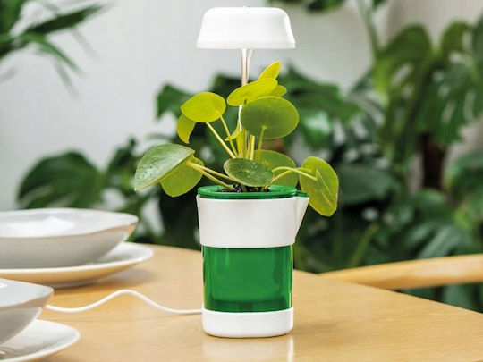 Desk Grow Light with LED and Power 5W L6xW17xH6.5cm.