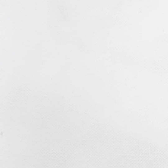 vidaXL Anti-free Cover 70gr/m² 1x1m White