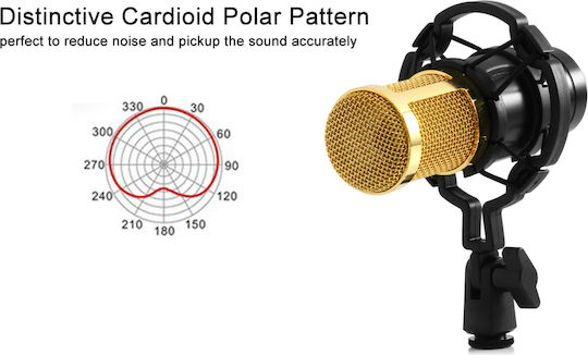 BM-800 Condenser Microphone Desktop, Shock Mounted for Vocals