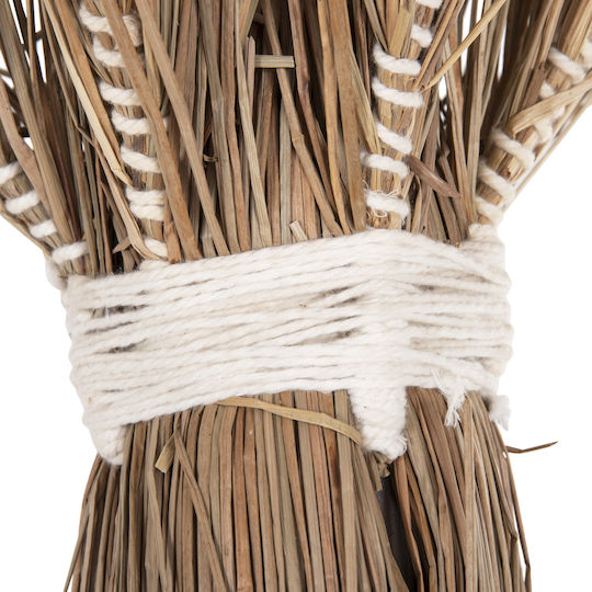Διακοσμητικο Δεντρο Tropic Hm4324 Τ.φοινικα Mendong Grass 280yεκ